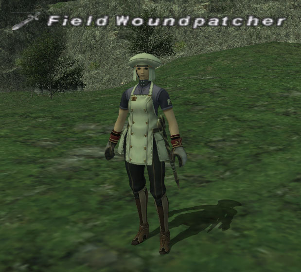 File:Field Woundpatcher.jpg