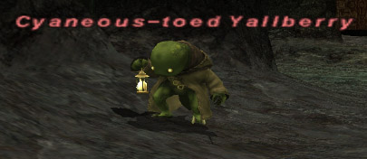 File:Cyaneous-toed Yallberry.jpg