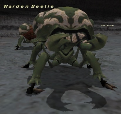 File:Warden Beetle.jpg