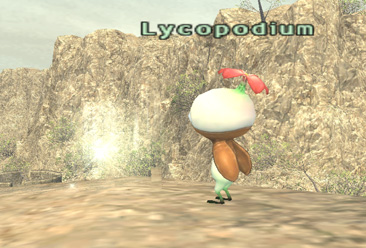 File:Lycopodium Warps.jpg