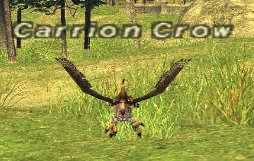 File:Carrion Crow.jpg