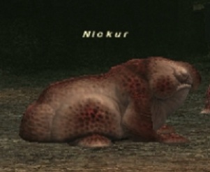 File:Nickur.jpg