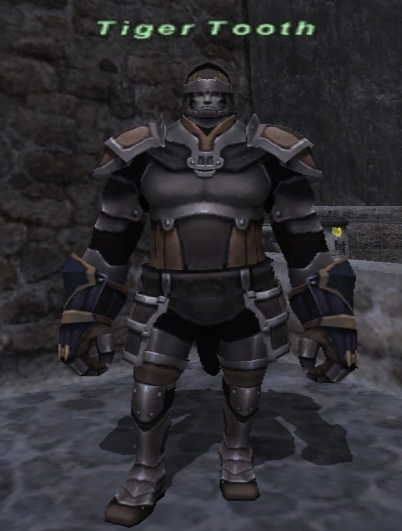 File:Tiger Tooth.jpg