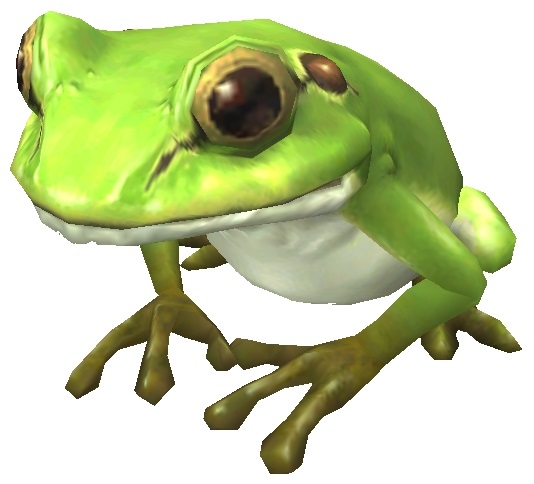 File:Frog.jpg