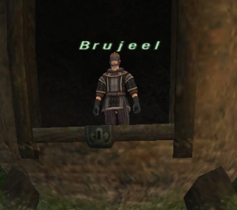 File:Brujeel.jpg
