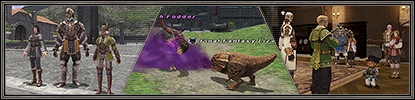 An Announcement Regarding the Next Version Update (07/26/2013)