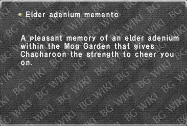Elder adenium memento