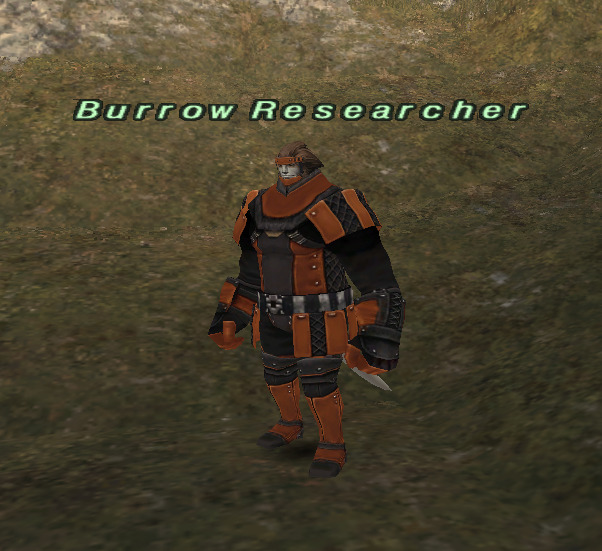 File:Burrow Researcher (Batallia).jpg