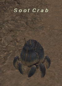 File:Soot Crab.jpg