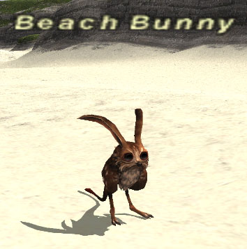 File:Beach Bunny.jpg