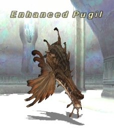 File:Enhanced pugil.jpg
