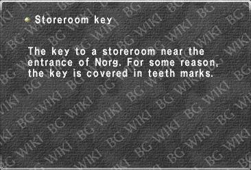 Storeroom key