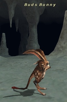 File:Buds Bunny.jpg