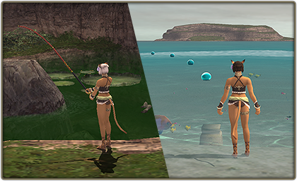 File:CostalFishingNet.png