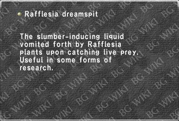Rafflesia dreamspit