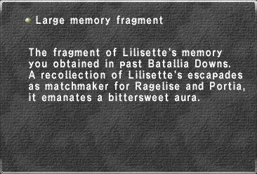 Large memory fragment (3)