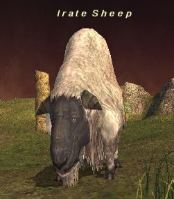 File:Irate Sheep.jpg