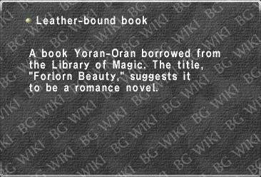 Leather-bound book