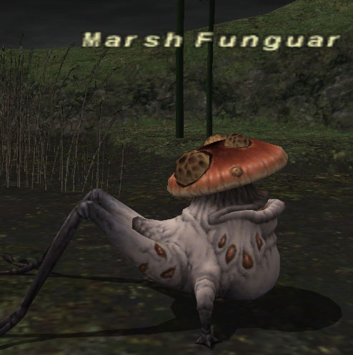 File:Marsh Funguar.jpg