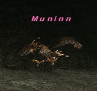 File:Muninn.jpg