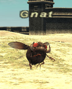 File:Gnat.jpg