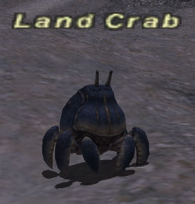 File:Land crab.jpg