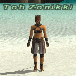 File:Toh Zonikki.jpg