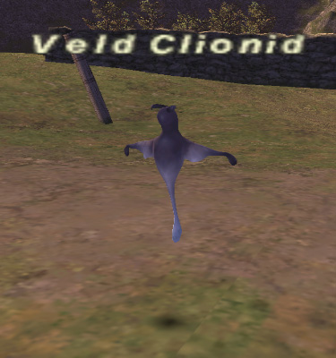 File:Veld Clionid.jpg