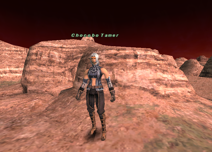 File:Chocobo Tamer (Attohwa).png