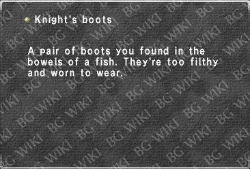 Knight's boots