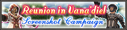 File:Reunion in Vanadiel Screenshot Campaign.jpg