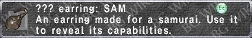 File:Earring- SAM description.png