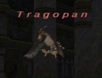 File:Tragopan.jpg