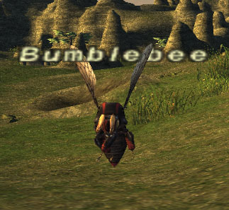 File:Bumblebee.jpg