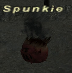 File:Spunkie.jpg
