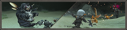 The January Version Update Burrows into Vana'diel! (01/28/2013)