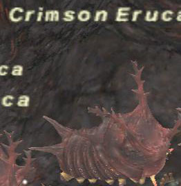 File:Crimson Eruca.jpg