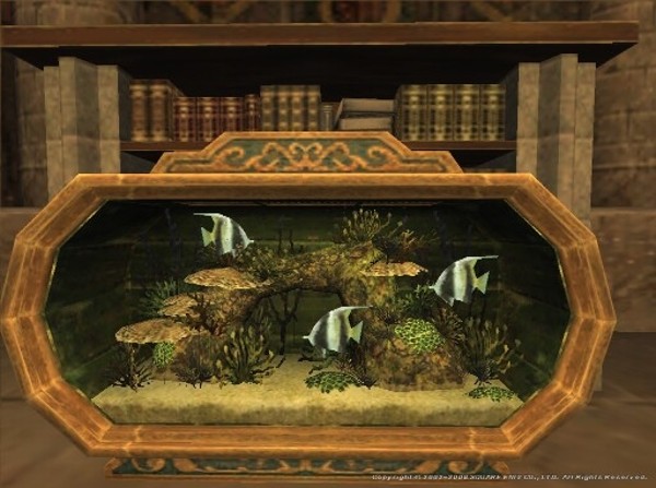 File:Saltwater Aquarium Appearance.jpg