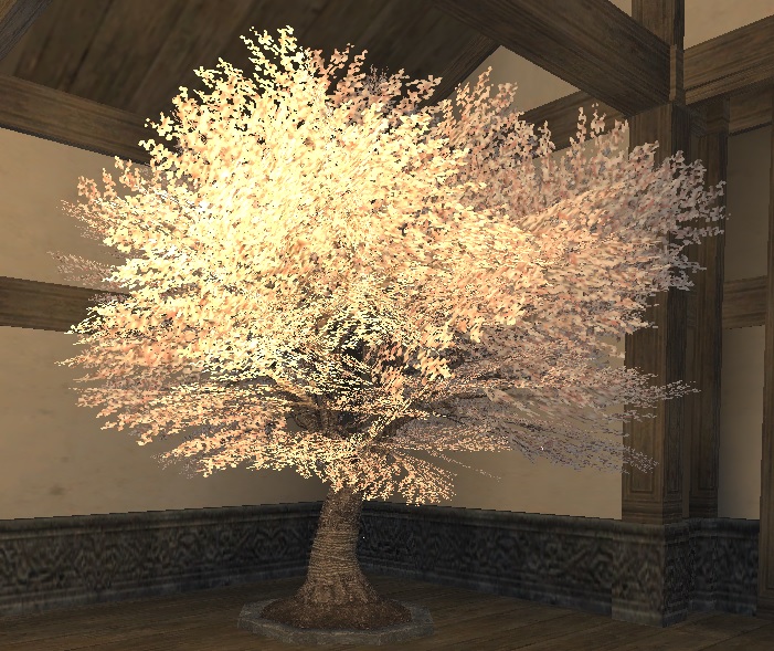 File:Cherry tree appearance.jpg