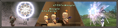 Regarding the FINAL FANTASY XI Test Server (08/26/2011)