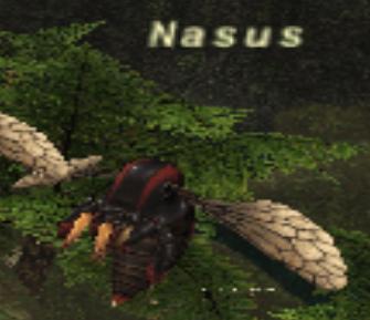 File:Nasus.jpg