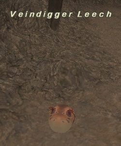 File:Veindigger Leech.jpg
