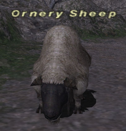 File:Ornery Sheep.jpg