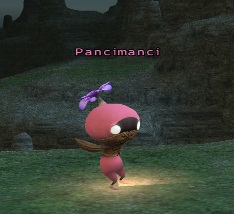 File:Pancimanci.jpg