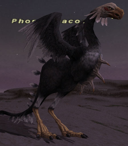 File:Phorusrhacos.jpg
