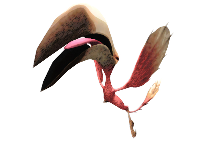 File:Category-Colibri.jpg