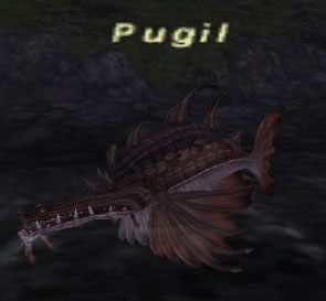 File:Pugil.jpg