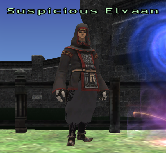 File:Suspicious Elvaan.png