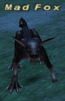 File:Mad Fox.jpg