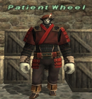 File:Patient Wheel.jpg